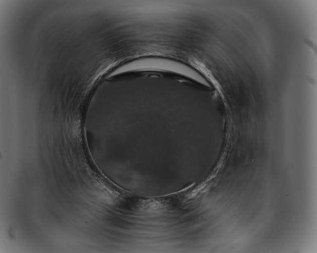 X0000095540249200712141531