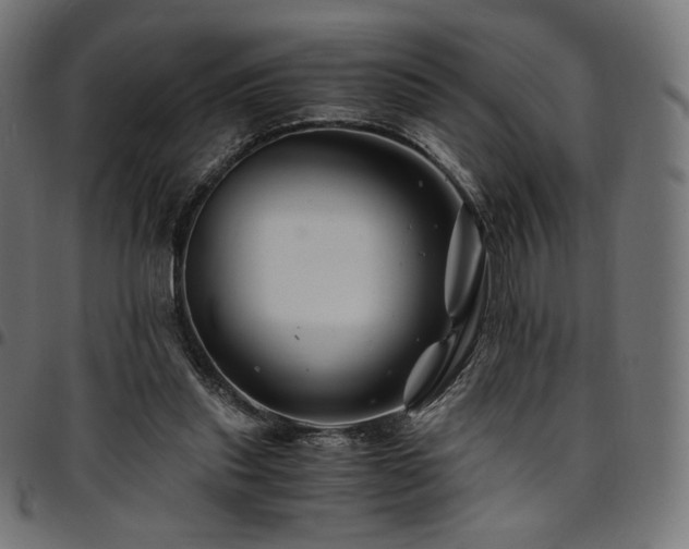 X0000095540253200712141531