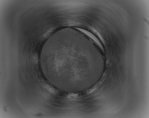 X0000095540257200712141531