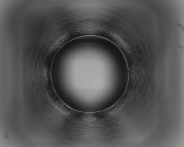 X0000095540258200712141531