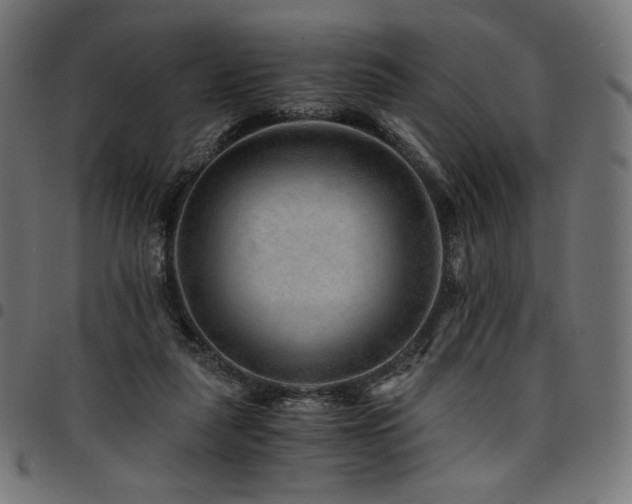 X0000095540259200712141531