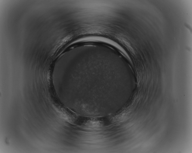 X0000095540260200712141531