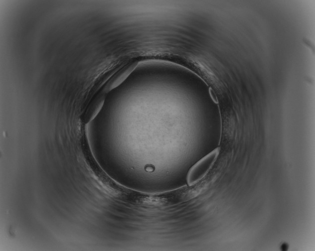 X0000095540261200712141531