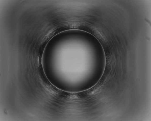 X0000095540262200712141531