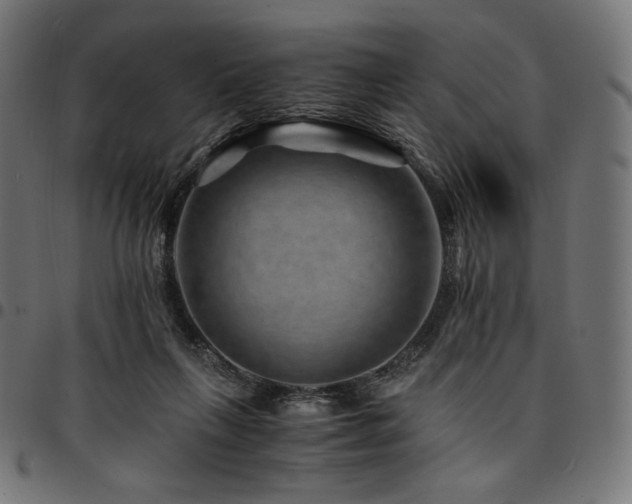 X0000095540263200712141531