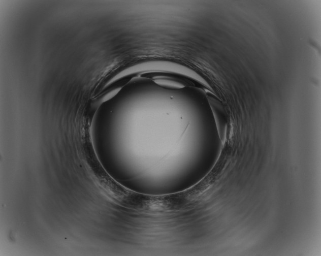 X0000095540264200712141531