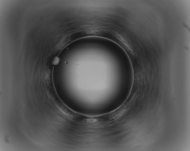 X0000095540265200712141531