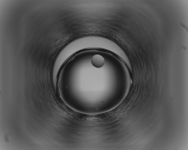 X0000095540268200712141531