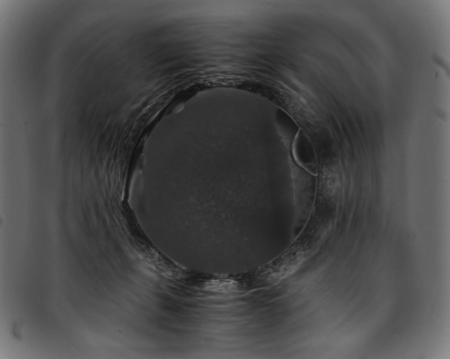 X0000095540271200712141531