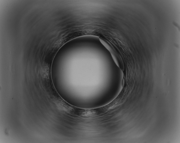 X0000095540274200712141531