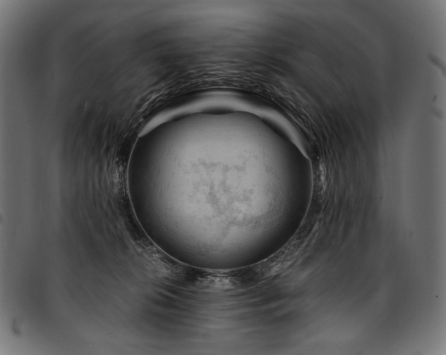 X0000095540276200712141531