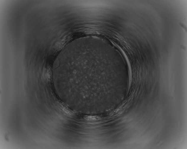 X0000095540277200712141531