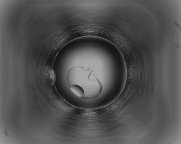 X0000095540278200712141531