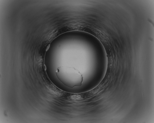 X0000095540279200712141531