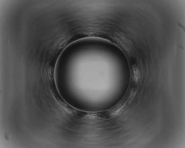 X0000095540280200712141531