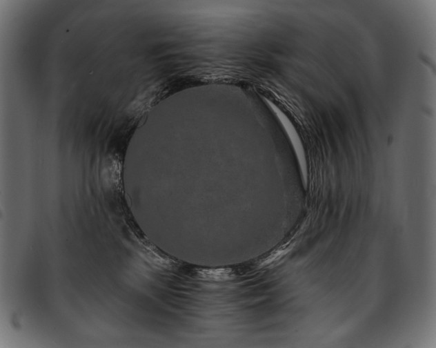 X0000095540281200712141531