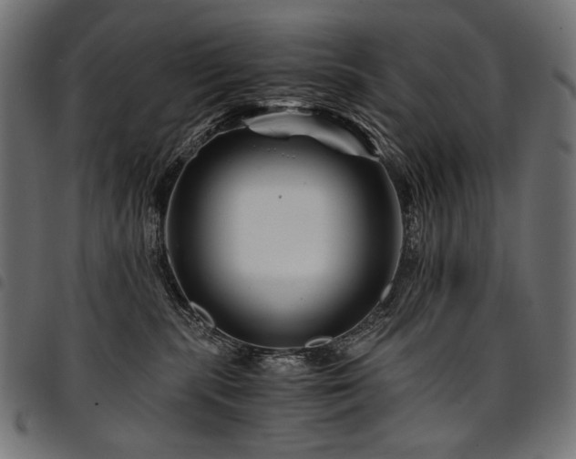 X0000095540283200712141531