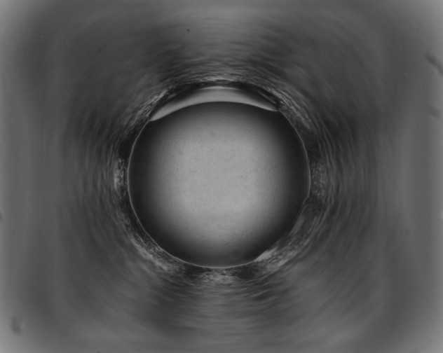 X0000095540284200712141531