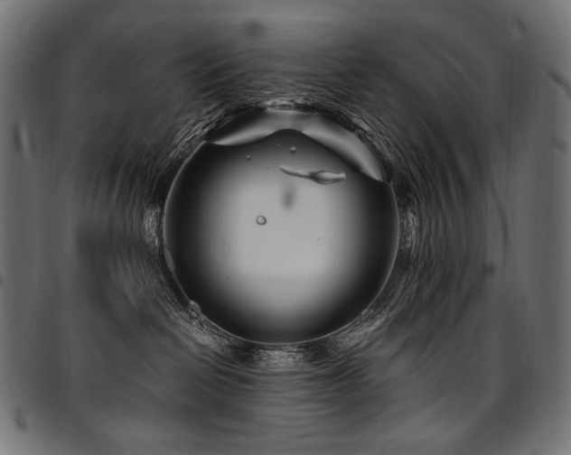 X0000095540286200712141531