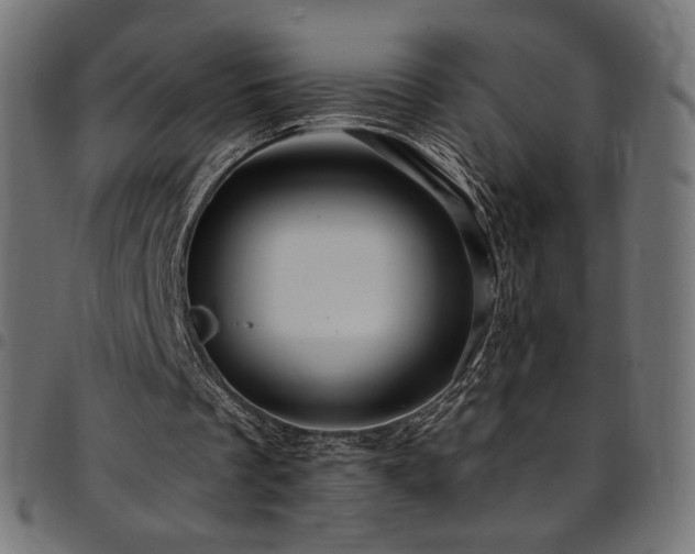 X0000095540289200712141530