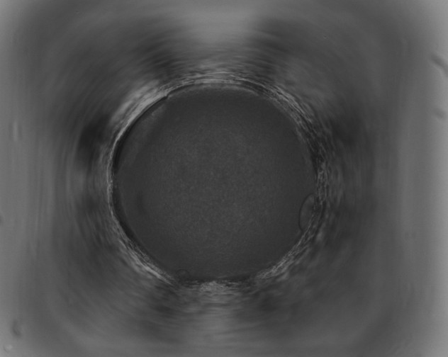 X0000095540290200712141530