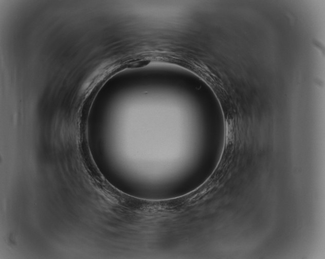 X0000095540291200712141530