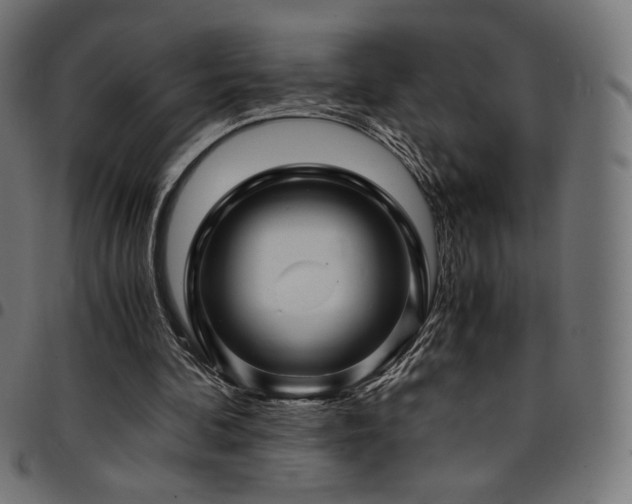 X0000095540292200712141530