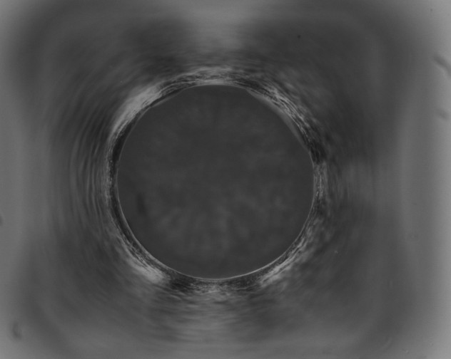 X0000095540293200712141530