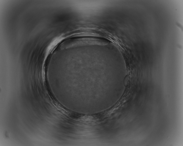 X0000095540294200712141530