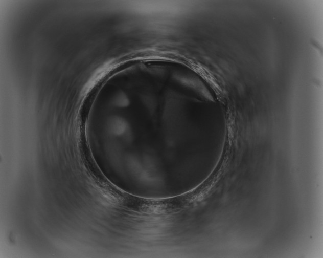 X0000095540295200712141530