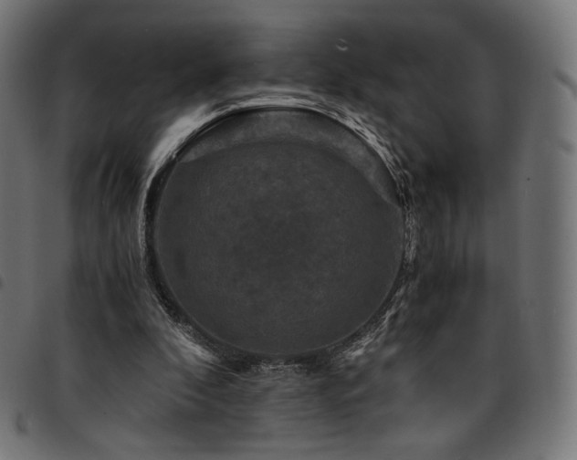 X0000095540296200712141530