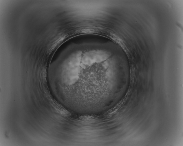 X0000095540297200712141530