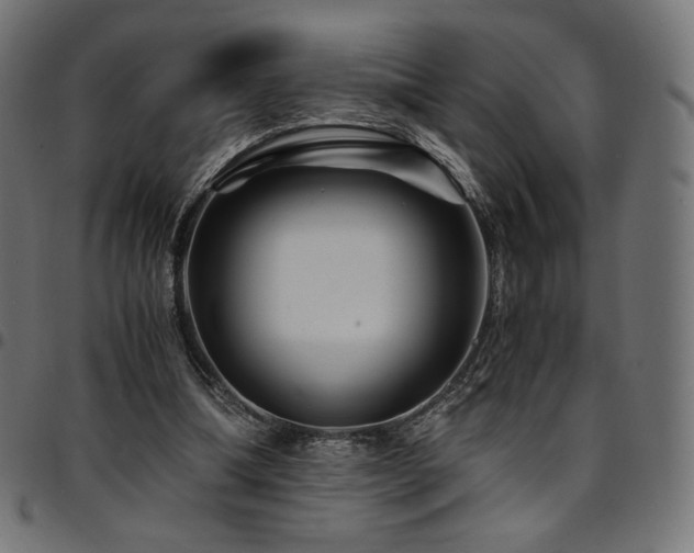 X0000095540298200712141530