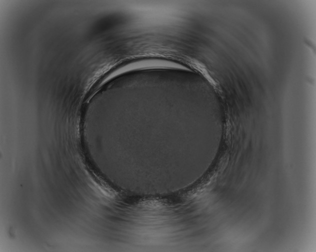 X0000095540299200712141530