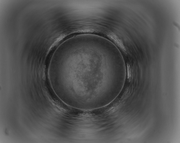 X0000095540300200712141530