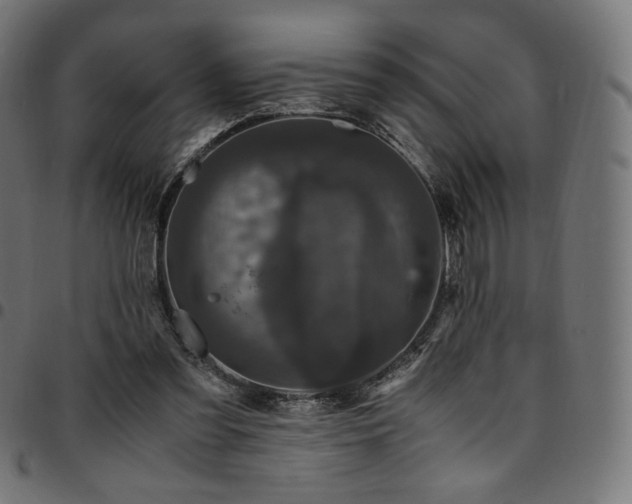 X0000095540301200712141530