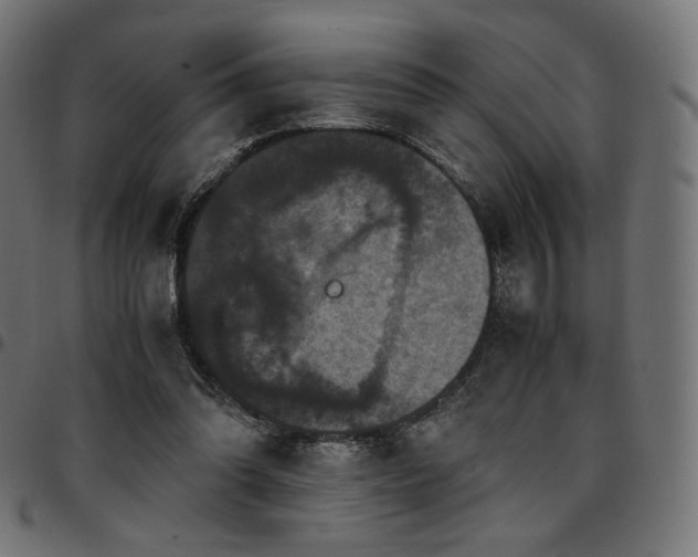 X0000095540302200712141530