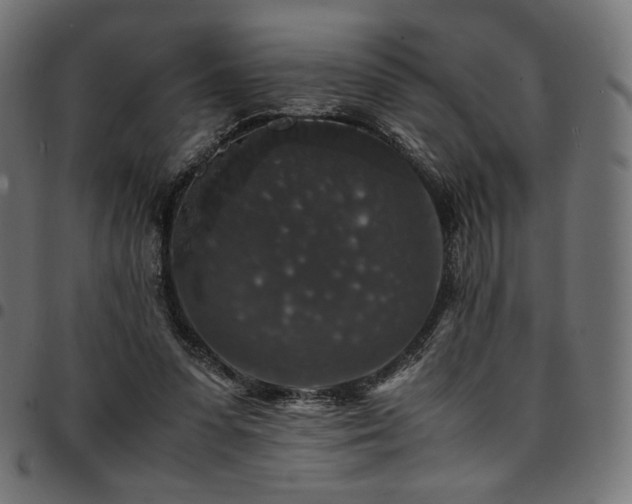 X0000095540303200712141530