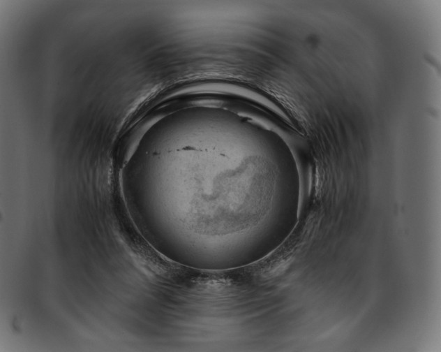 X0000095540304200712141530