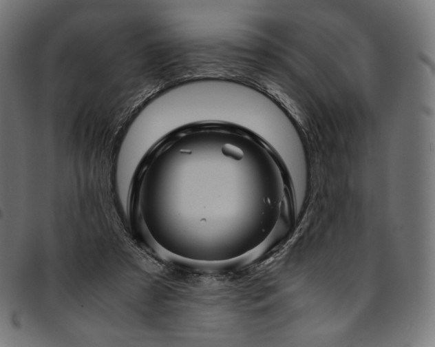 X0000095540305200712141530