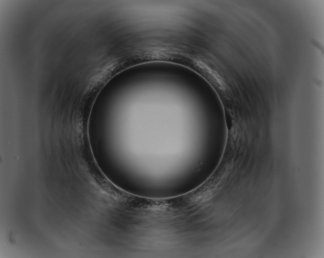 X0000095540306200712141530