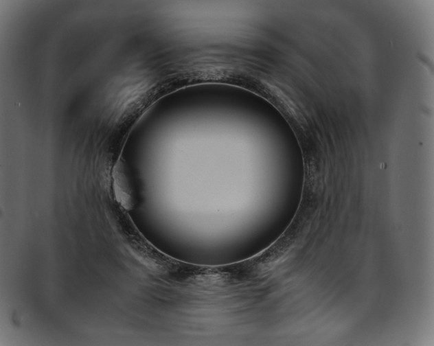 X0000095540307200712141530