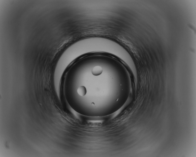 X0000095540308200712141530