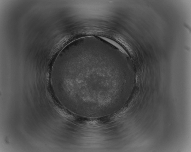 X0000095540309200712141530