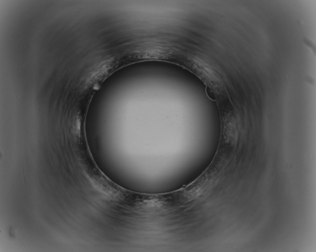 X0000095540310200712141530