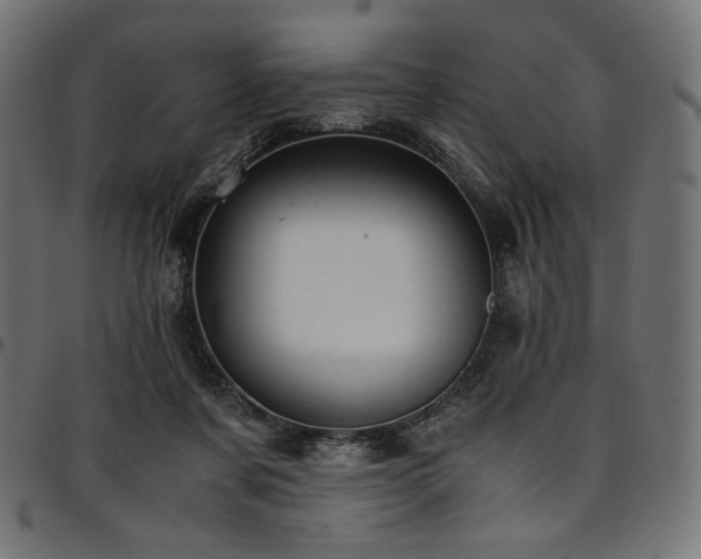 X0000095540311200712141530