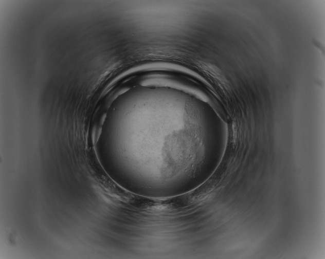 X0000095540312200712141530