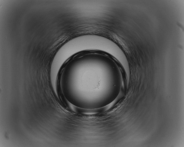 X0000095540313200712141530