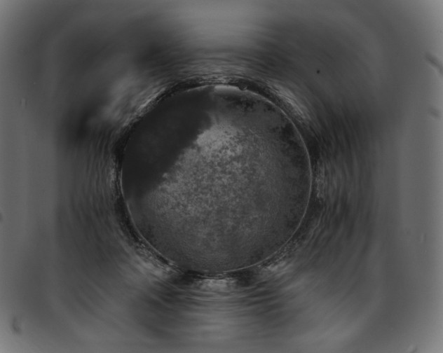 X0000095540314200712141530