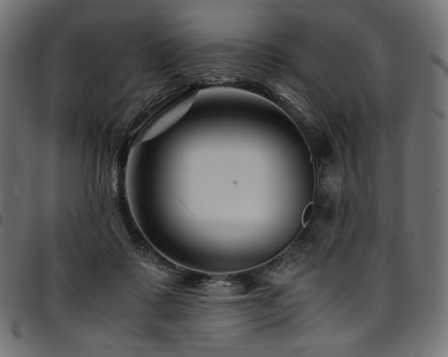 X0000095540315200712141530